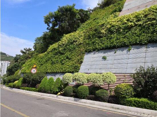 "广东省2018年建筑领域节能宣传月我们和春天有个约会屋顶绿化立体